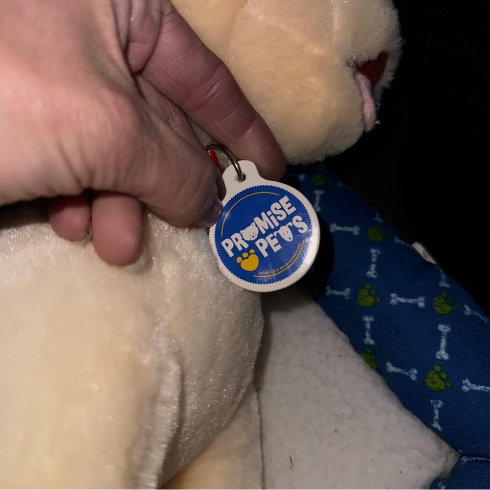 Build a Bear Promise Pets Golden Retriever Yellow Labrador Puppy 11" & Dog BED - Picture 9 of 16
